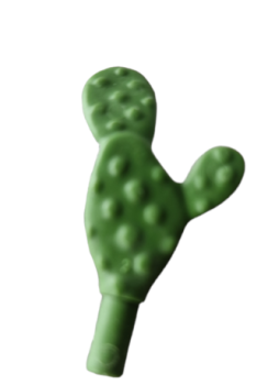 playmobil Cactus (30097060)