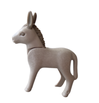 Donkey cub (30652062)